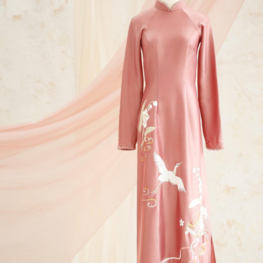 Vietnam Traditional Costume - Ao dai